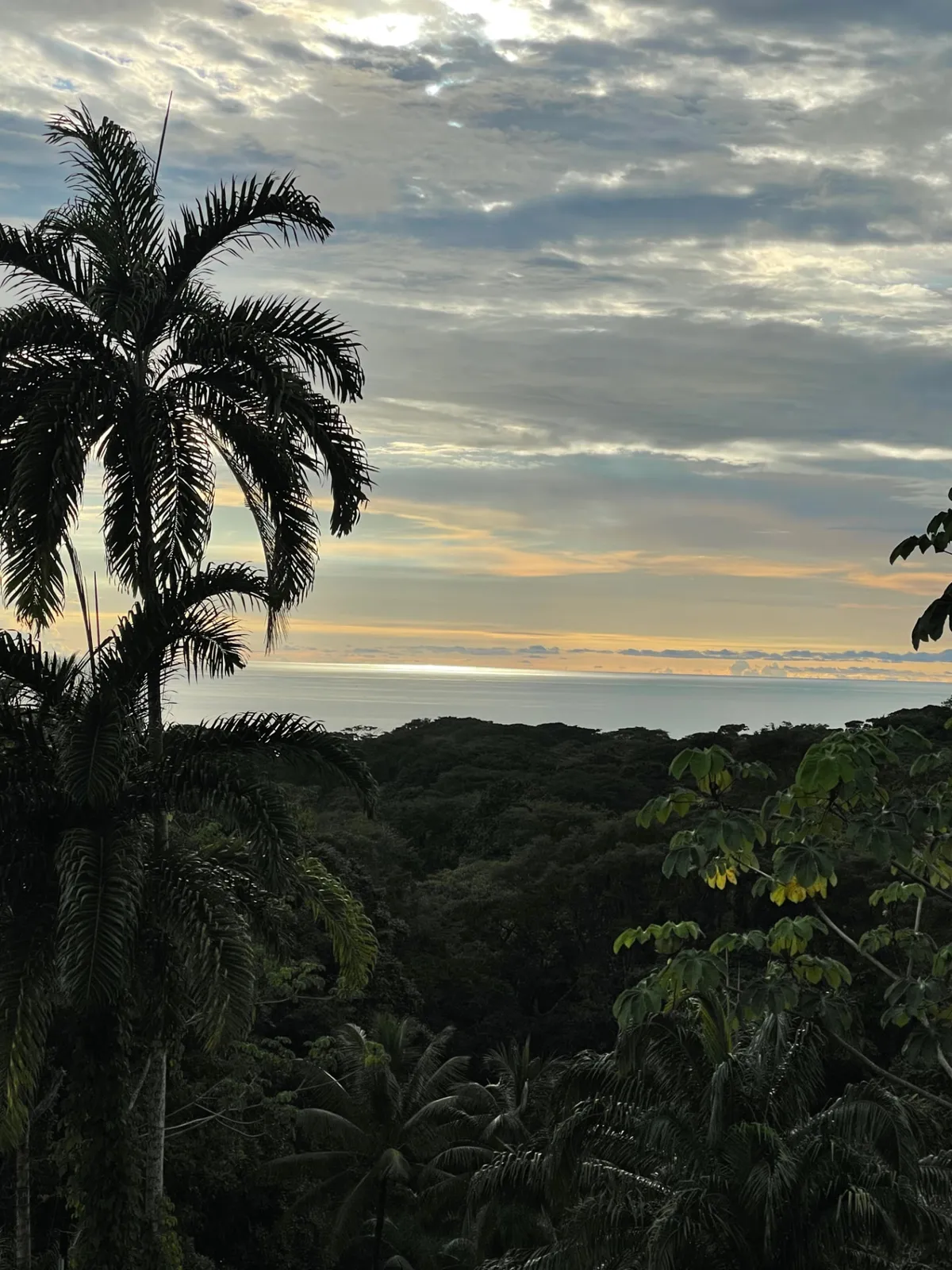 Rainforest meeting the Pacific Ocean above Dominical, Costa Rica